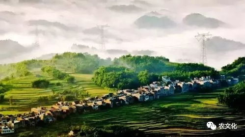 休閑農(nóng)業(yè)與鄉(xiāng)村旅游資源的開發(fā)策略與實(shí)踐