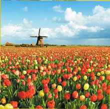 2012年旅游行業(yè)關(guān)鍵詞 玩得個(gè)性化最關(guān)鍵