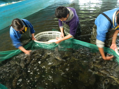 海安 以特色農業為基，串起旅游開發協同發展鏈